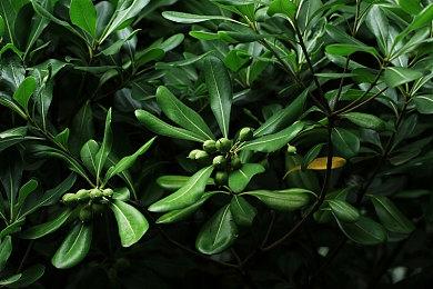 《魔兽世界》今日起接入战网功能：巫妖王之怒怀旧服率先开服