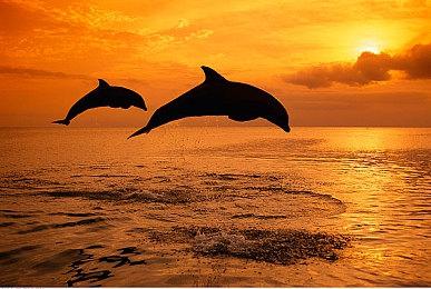 我国新型量子计算机“悟空”即将发布 本源量子打造