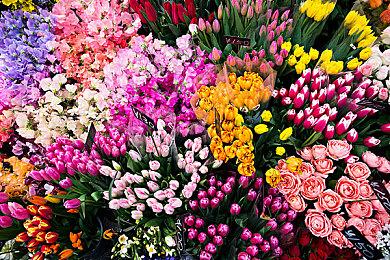 角川游戏公布《Relayer》游戏数据 拥有一千多种武器